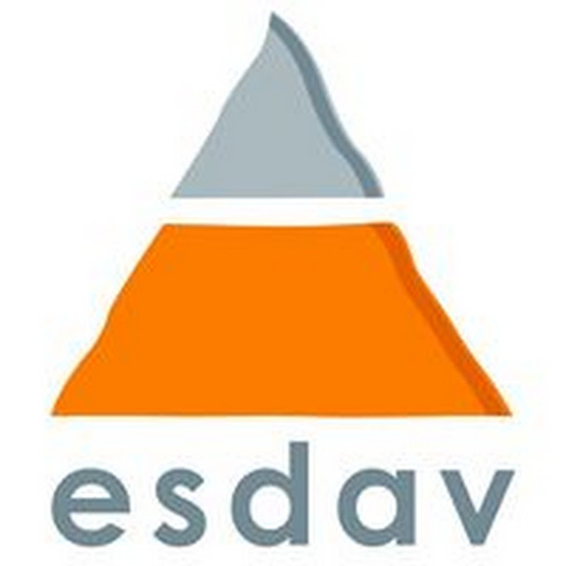 ESDAV | Ecole Supérieure de Design et des Arts Visuels  